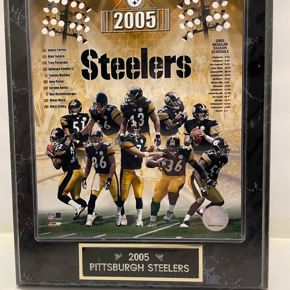 NFL Steelers 2005 Wall Art - Black and Gold